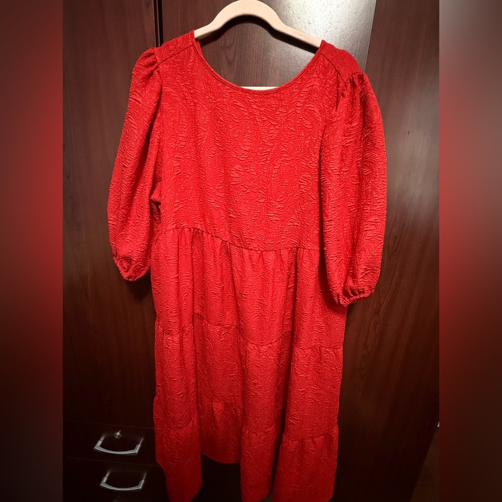 Red Textured Dress